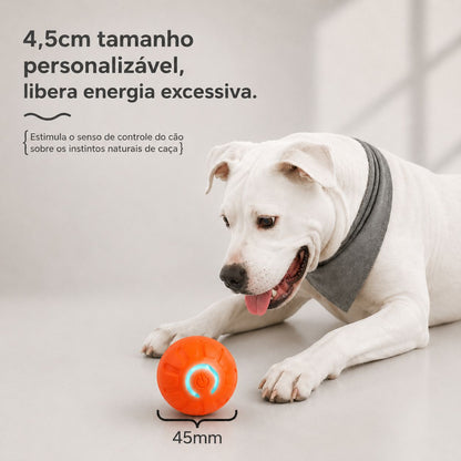 Bola Inteligente Automática