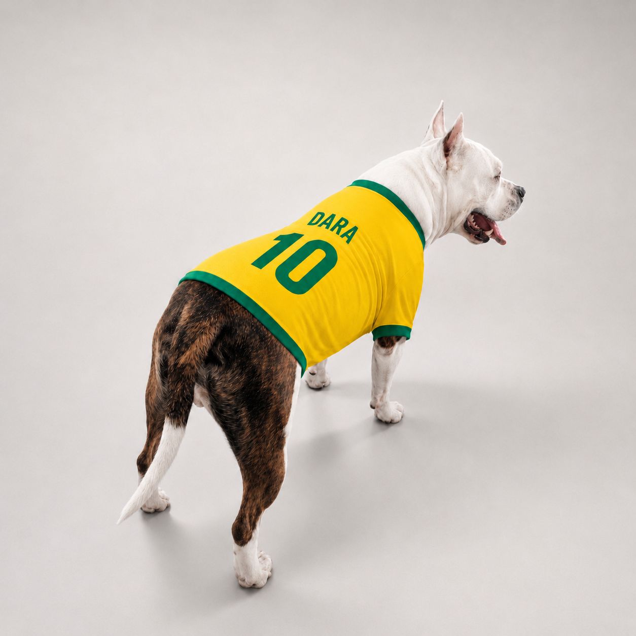 Regata e Camisa PetSafi Brasil para Cachorros e Gatos