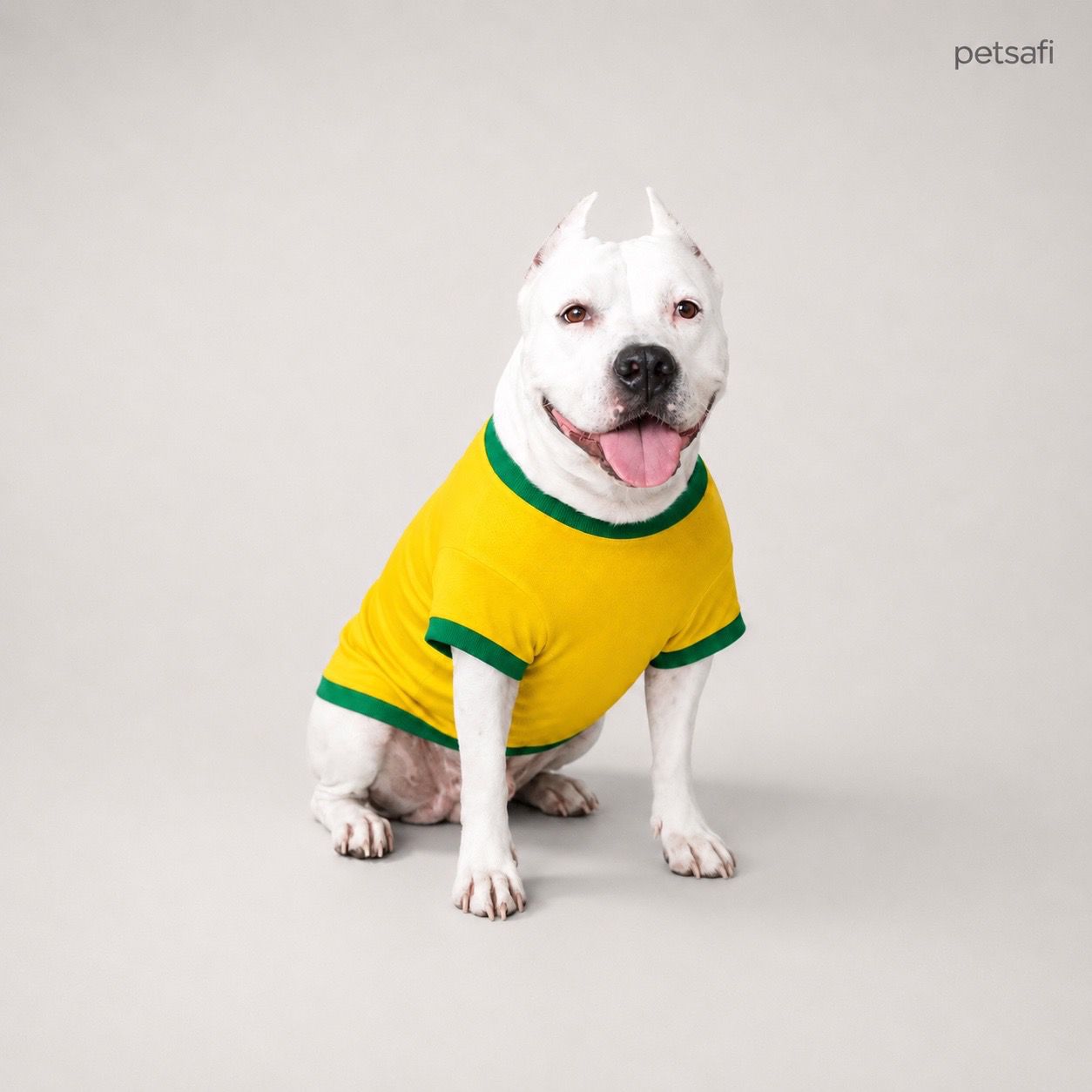 Regata e Camisa PetSafi Brasil para Cachorros e Gatos